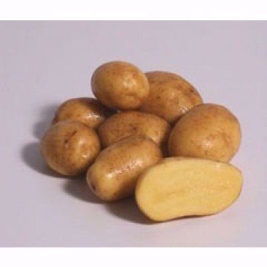 Picture of Sadbové brambory DITA - polorané,  balení 25 kg