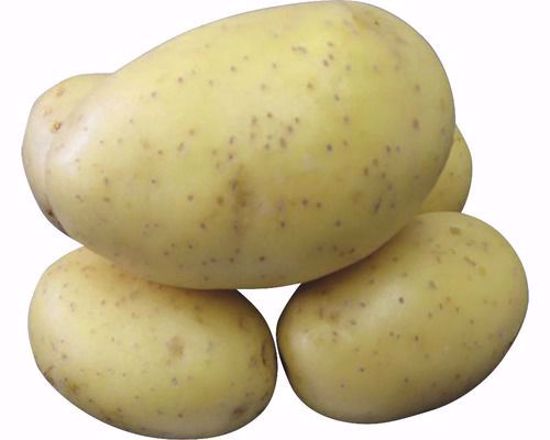 Picture of Sadbové brambory PRINCESS, 25 kg