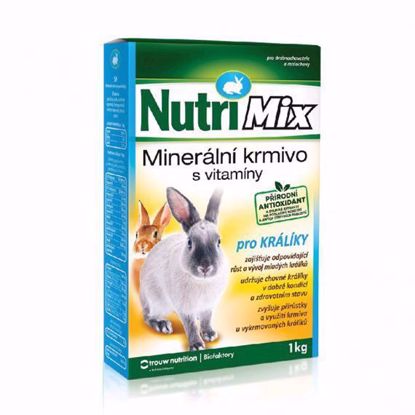 Obrázek NutriMix pro králíky 1kg