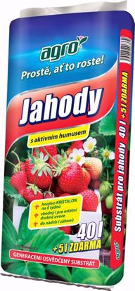 Obrázek Agro CS Substrát pro jahody 40 + 5 l ZDARMA
