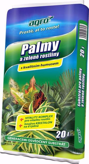 Picture of AGRO Substrát pro palmy a zelené rostliny 20 l